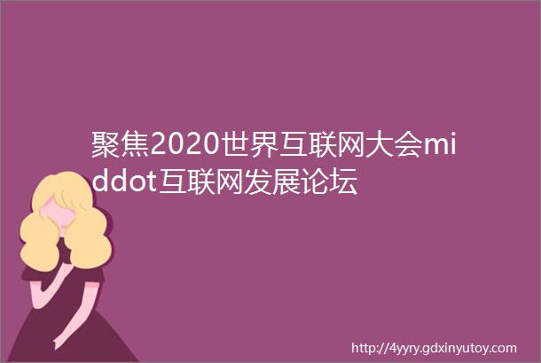 聚焦2020世界互联网大会middot互联网发展论坛