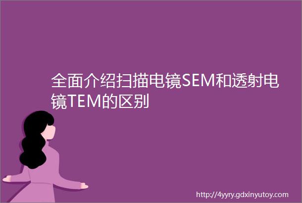 全面介绍扫描电镜SEM和透射电镜TEM的区别