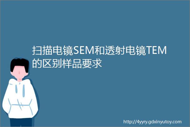 扫描电镜SEM和透射电镜TEM的区别样品要求