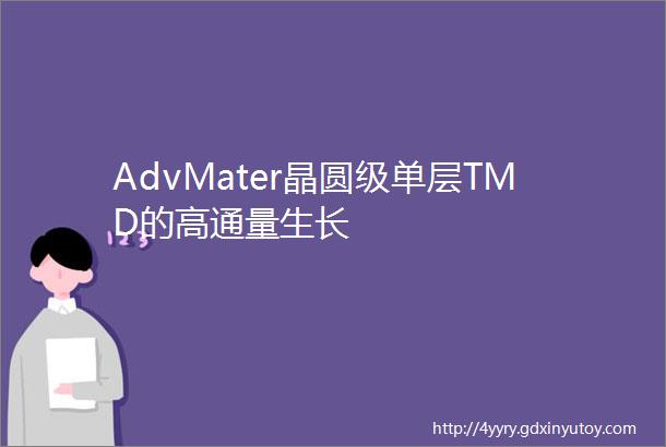 AdvMater晶圆级单层TMD的高通量生长